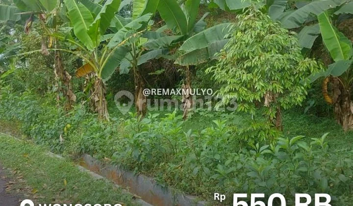 Land for Sale with Road Access for Cars in Wonosobo Area Land for Sale with Road Access for Cars in Wonosobo Area