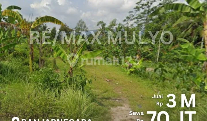 Tanah Dijual Dekat Sekolah Negeri Area Banjarnegara Tanah Dijual Dekat Sekolah Negeri Area Banjarnegara