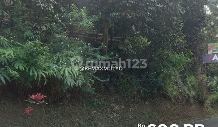 Large Land for Sale in Wonosobo Area Large Land for Sale in Wonosobo Area