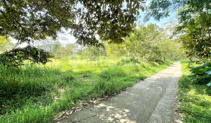 Tanah Dijual Murah Boyolali Dekat Rumah Sakit Umum Boyolali