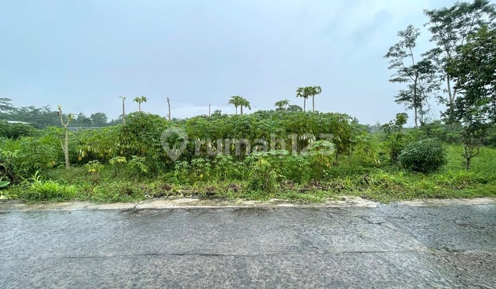 Boyolali Land for Sale Near So Good Factory