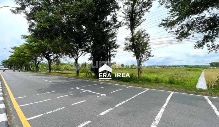 Tanah Cocok untuk Gudang Akses Kontainer Boyolali