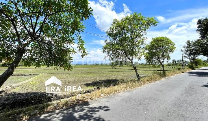 Cheap land in Boyolali near the Solo Jogja road.