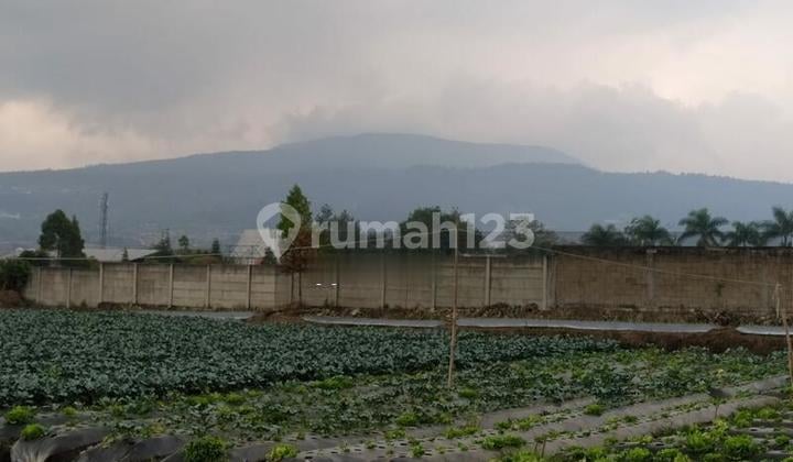 Tanah Mainroad Lembang Turun Harga Nego