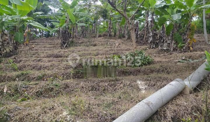Tanah Belakang Kampus Unpad Jatinangor Bandung