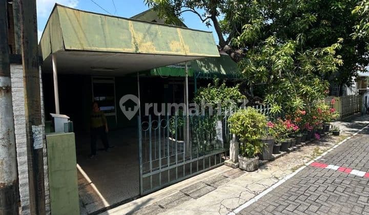 Rumah Lama Murah Dihitung Tanah Tengah Kota Semarang Cocok Untuk Rumah Kos Gudang Kantor Dekat Pintu Tol Gayamsari Dekat Kampus Usm Dekat Majapahit Dijual Di Beruang Gayamsari Semarang Tengah