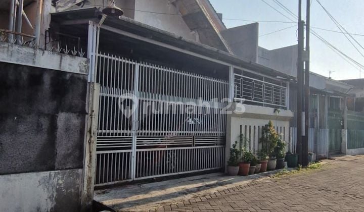 Tanah tengah kota Semarang pusat kota ramai strategis dekat simpang lima dekat mall Ciputra bisa untuk rumah dan usaha dijual di Anggrek Semarang tengah