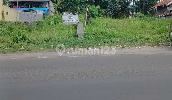 Tanah Jalan Raya Anyer Dekat Mercusuar dan Pasar