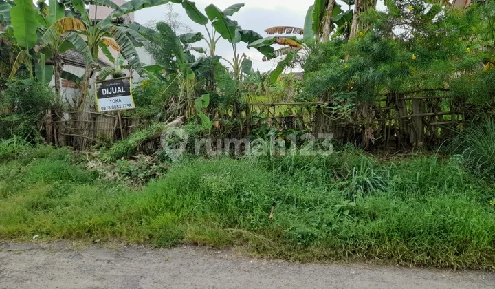 Tanah Kavling Jalan Semar Cilegon Shm Masih Nego