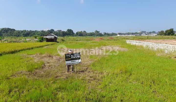 Tanah Sawah Kp Baru Penancangan Dekat Terminal Dan Rsud