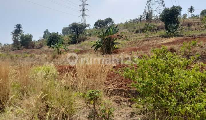 Lahan Luas Lebak Gede Merak
