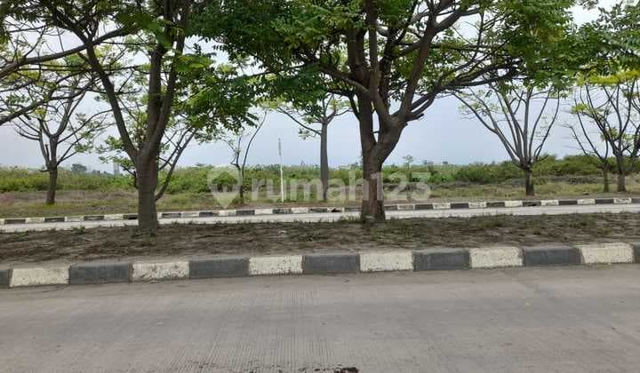 Tanah Multifungsi Bojonegara Ada Jetty