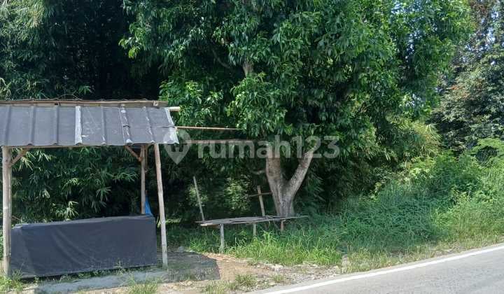 Tanah Strategis Jalan Lingkar Selatan KM 3