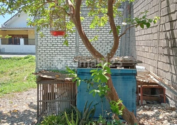 Dijual Tanah Wagir Baru Sidoarjo (Asri dan Strategis)