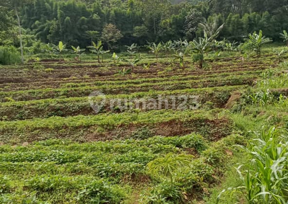Dijual Tanah dengan View perbukitan di Pacet Mojokerto