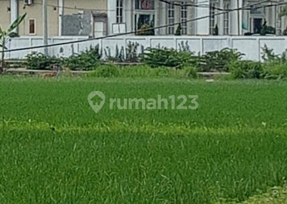 Dijual Tanah di Babat - Lamongan (Menghadap Jalan Raya)