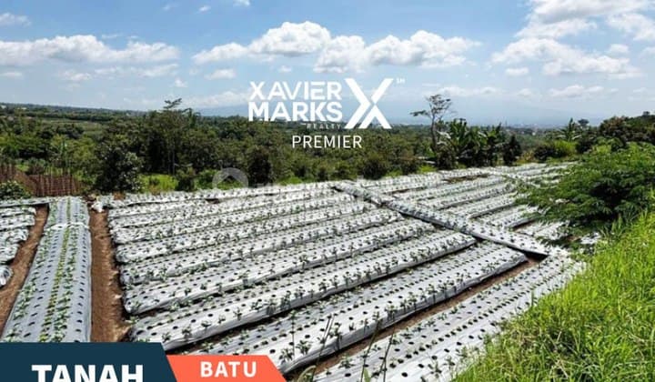 Tanah Luas Kawasan Pertanian di Torongrejo Batu