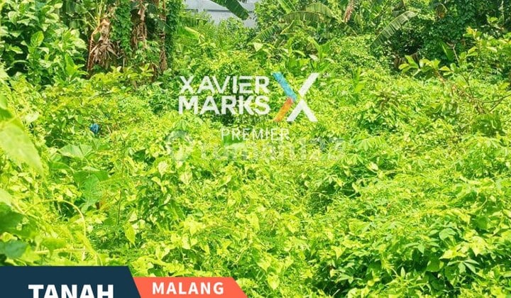 Dijual Tanah Cocok untuk Usaha Kos Candi Mendut Malang Dekat Kampus