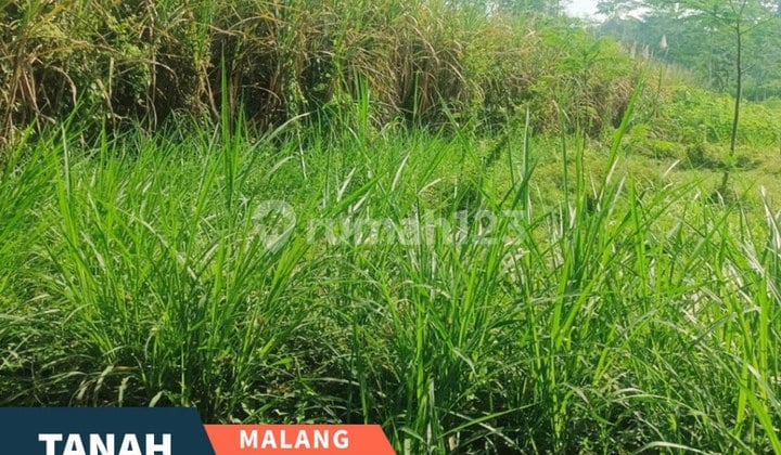 Cheapest in its Class, Ready-to-Build Land for Sale in Wonokoyo, Malang