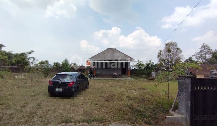 Land for sale on Jl.Ngelo, Getasan Subdistrict - Kopeng
