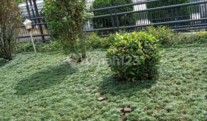 Dijual Rumah Setrasari Kulon Termurahh