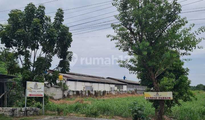 For Sale: Tanah Raya Jetis Mojokerto