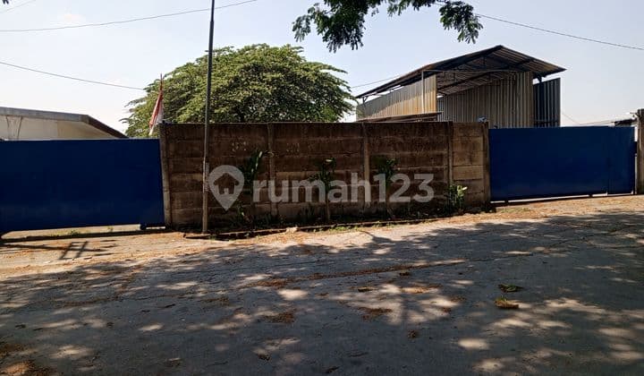 For Sale Peternakan Ayam