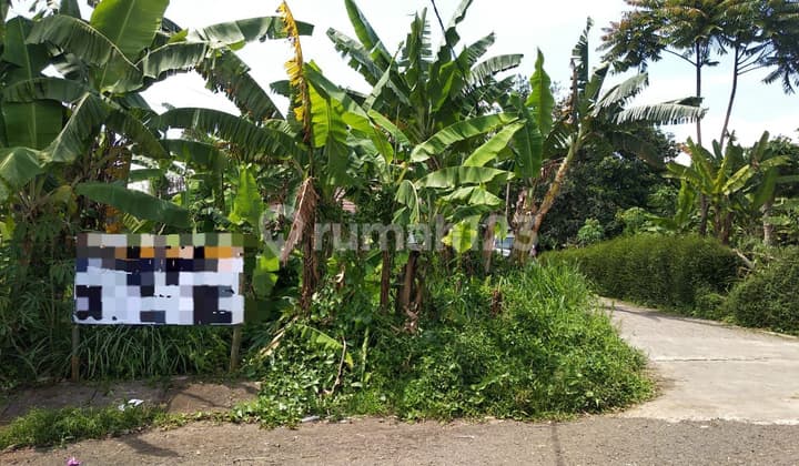 Murah dan langka tanah padasaluyu