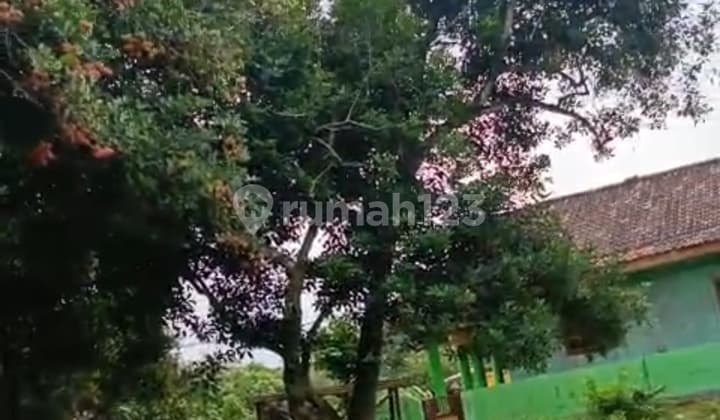 Strategic Land for Sale in Cikarang