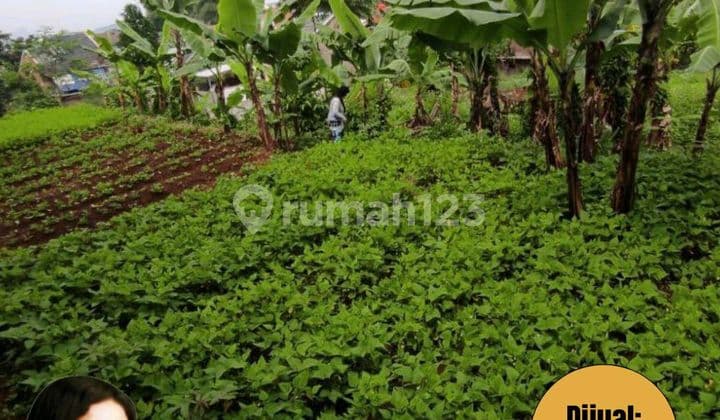 Dijual Tanah Atau Kavling Seluas 1010m² Di Cipageran Cimahi