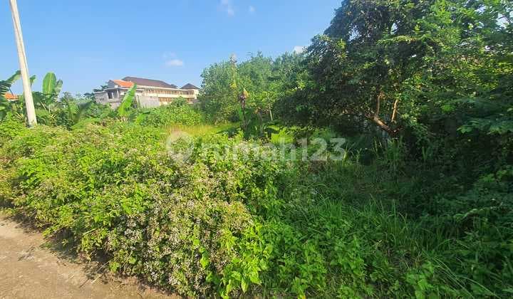 Jual Cepat, Tanah Murah 7 Are di Teduh Residence, di Area Strategis Jl. Dr. Ir. Soekarno, Tabanan