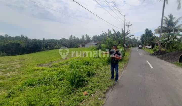 Tanah 32 Are Untuk Kebun, Villa atau Invest di Megati, Tabanan