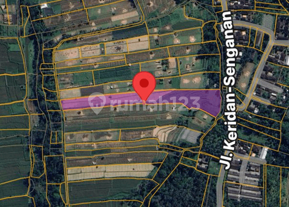 Tanah Sawah 240 Are Dengan View Gunung di Jl. Keridan-Senganan, Penebel, Tabanan