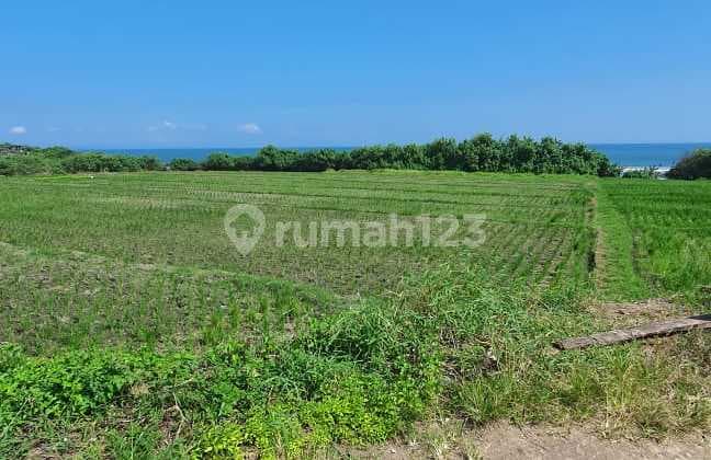 Tanah 78 Are di Pinggir Pantai (Beachfront), Pantai Kelating, Tabanan