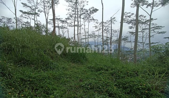 For sale, hill land with beautiful views in Karangkobar, Banjarnegara.