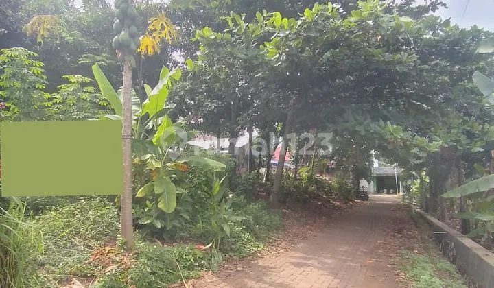 Di Jual Tanah Di Daerah Tembalang Undip
