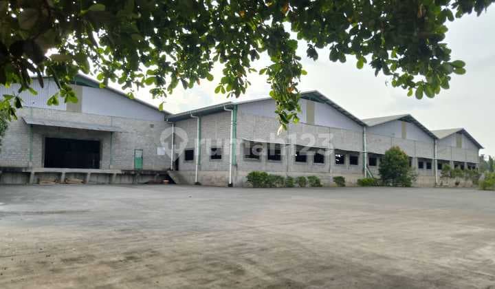 For Sale Active Wood Processing Factory