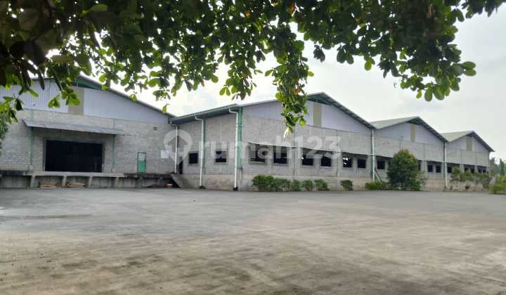 For Sale Active Wood Processing Factory