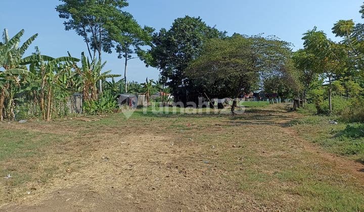 For sale, land on Welari main road, Montong Sari, Kendal.