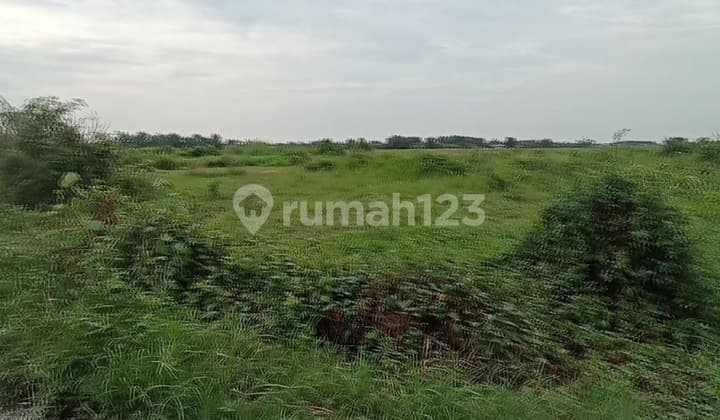 Di Jual Tanah Di Arteri Weleri Deket Kawasan Industri Batang