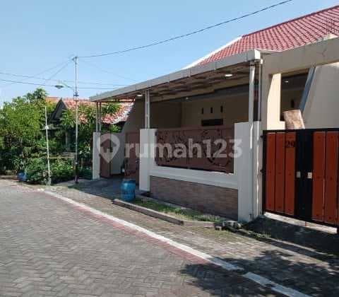 For Sale: House in Sambiroto Near Campus and Hospital