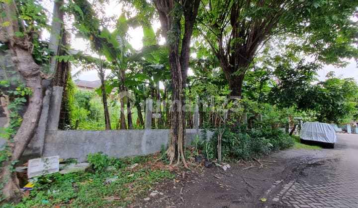 Land for rent in South Jemursari