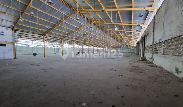 Gudang di Tambak Sawah