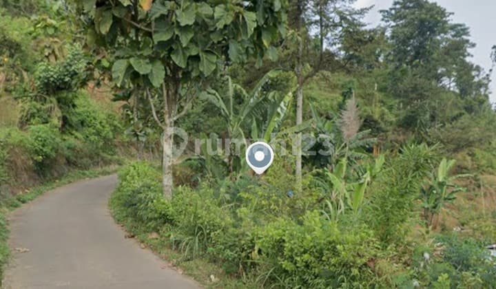 Plantation Land in Wonosalam Jombang