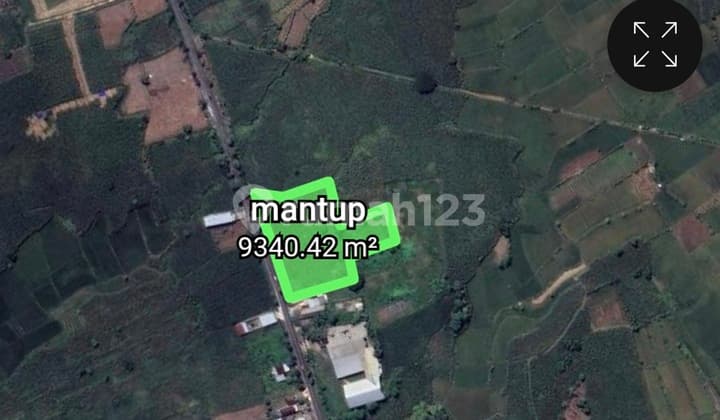 Tanah Di Lamongan Raya Mantup di Gapura Dusun Tugulor, Jl. Raya Mantup, Dumpiagung, Kembangbahu, Lamongan, Jawa Timur, Indonesia, 62282, Lamongan Tanah