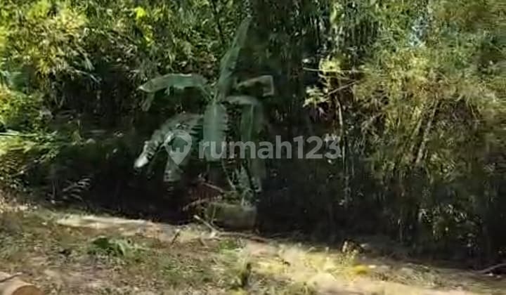 Land for Sale in Cisoka, Tangerang Regency, Banten