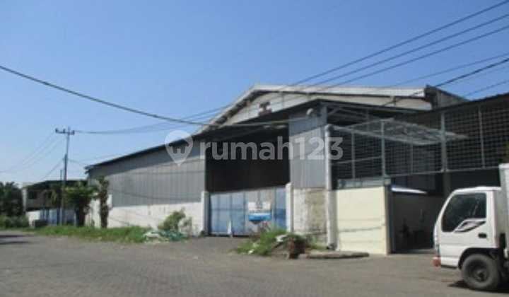 Cheap Warehouse Under Pasar Bumi Maspion Romokalisari Benowo