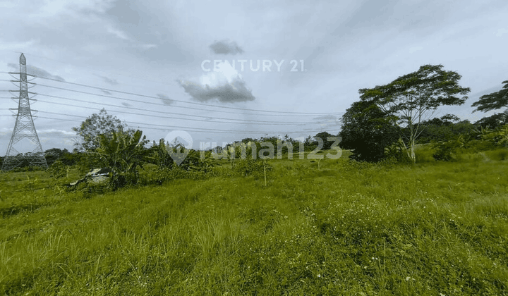 Dijual Tanah Sawah Di KP Kopo Jalan Raya Saga Bunar Balaraja