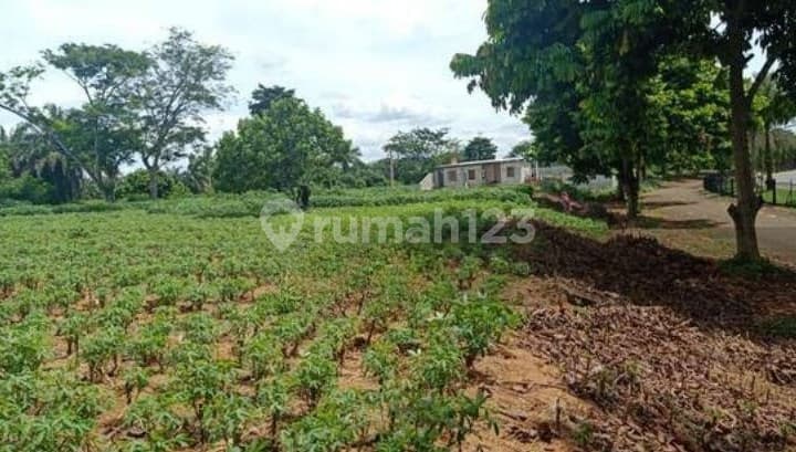 Dijual Kavling Tanah Kosong di Telaga Kahuripan Bogor