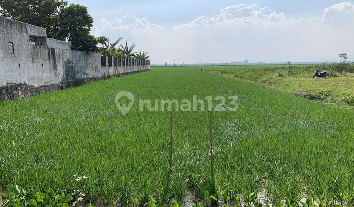 Termurah!! Lahan di Rancaekek Komerisal Mantap